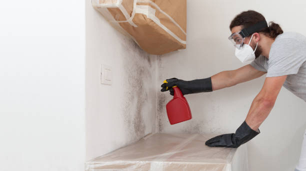 Professional Attic Mold Removal technician working in Livingston, NJ