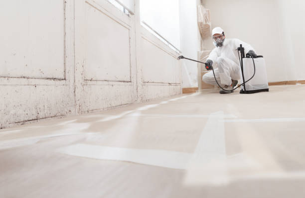 24/7 Emergency Attic Mold Removal experts in Livingston, NJ